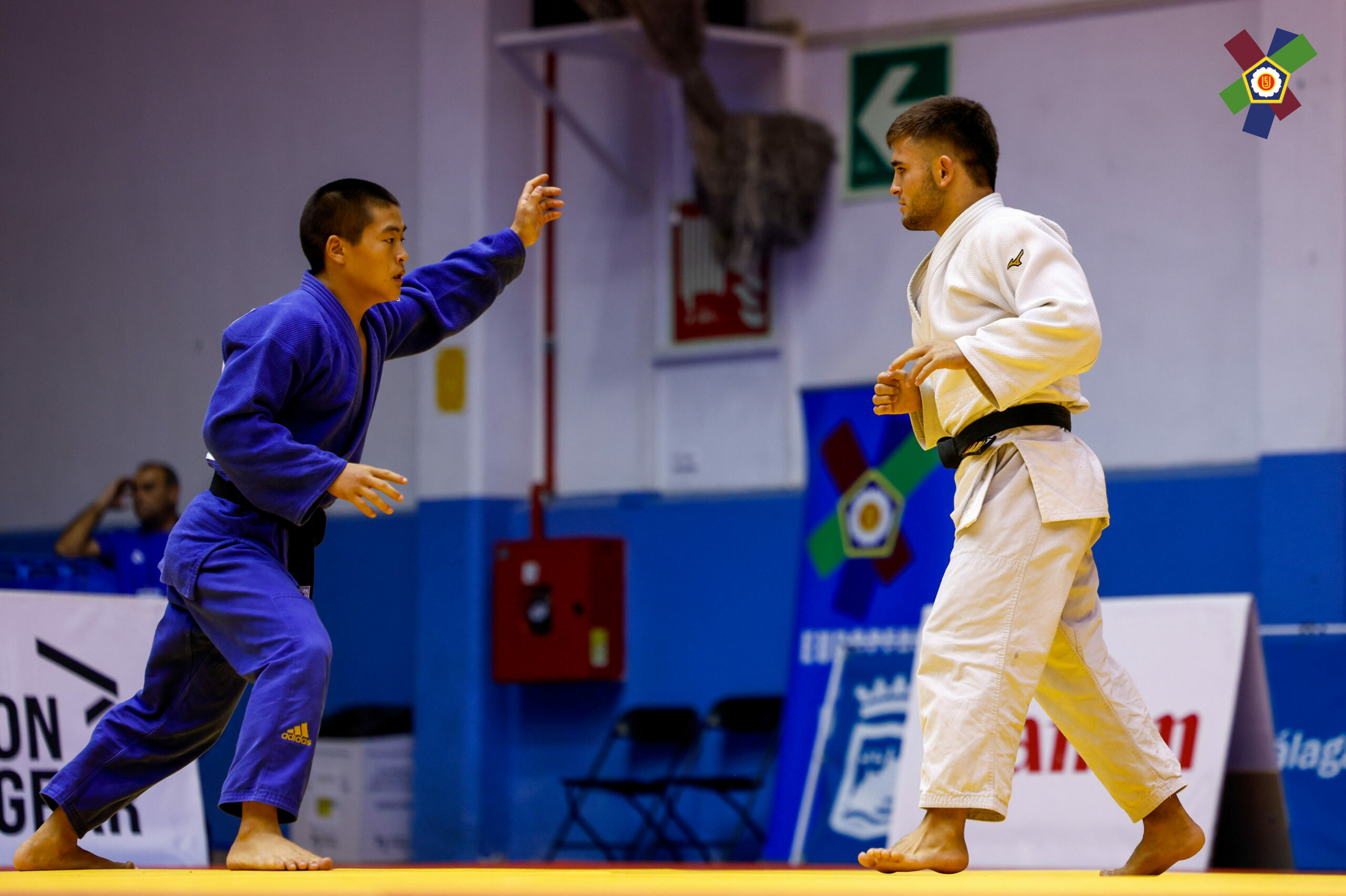 RESULTADOS de los Judokas Navarros en la European Cup Senior M&aacute;laga 12-10-24